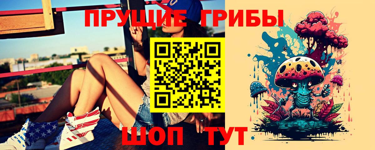 Псилоцибиновые грибы Psilocybine cubensis Таганрог