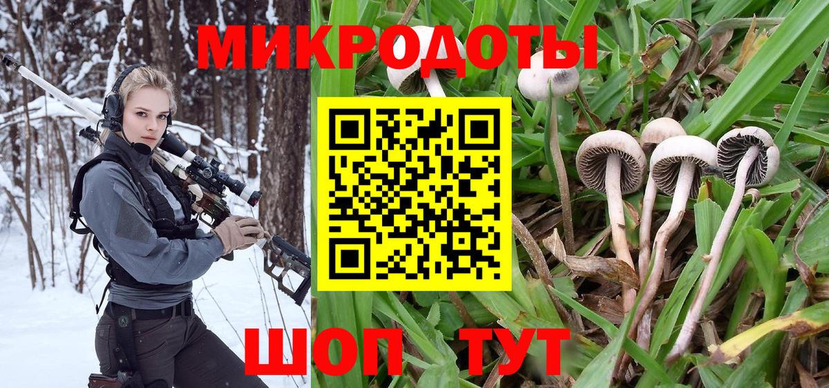Псилоцибиновые грибы Magic Shrooms  Галлюциногенные грибы мицелий  Вход с VPN  Таганрог 
